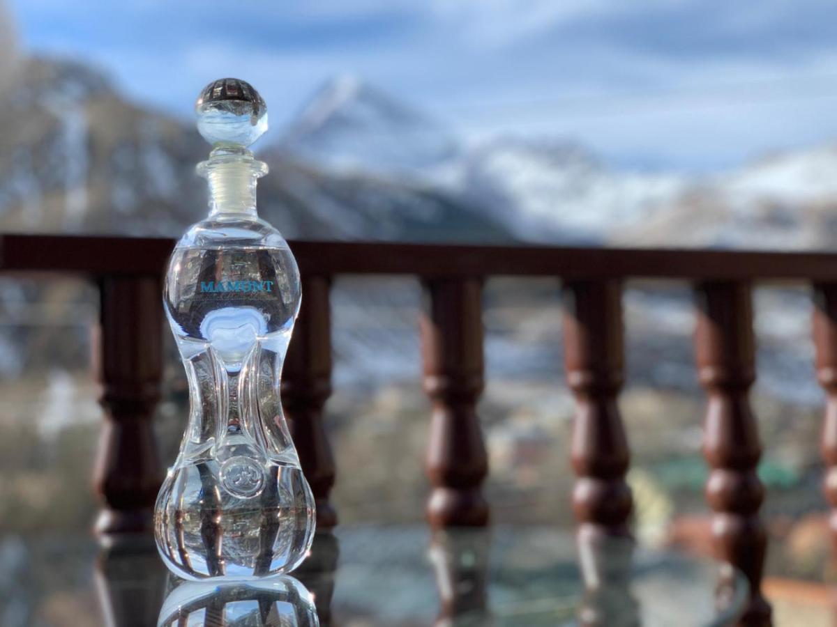 Come & Rest Kazbegi Esterno foto